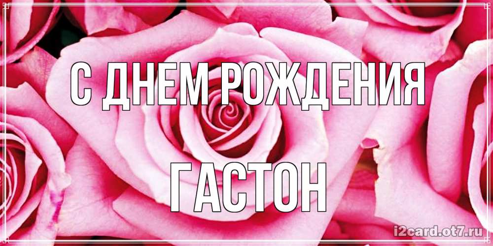 Открытка на каждый день с именем, Гастон С днем рождения открытка с розовой розой на день рождения Прикольная открытка с пожеланием онлайн скачать бесплатно 