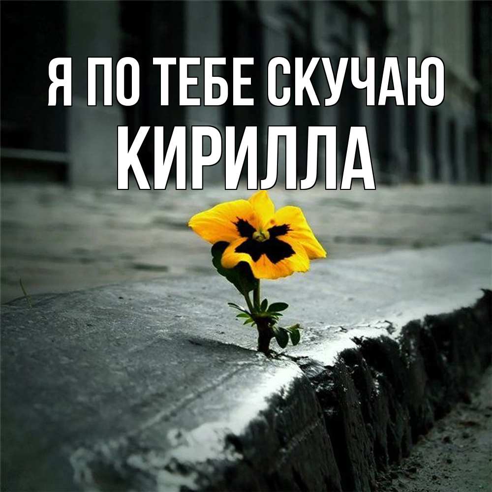 Открытка на каждый день с именем, Кирилла Я по тебе скучаю надеюсь будет лучше Прикольная открытка с пожеланием онлайн скачать бесплатно 