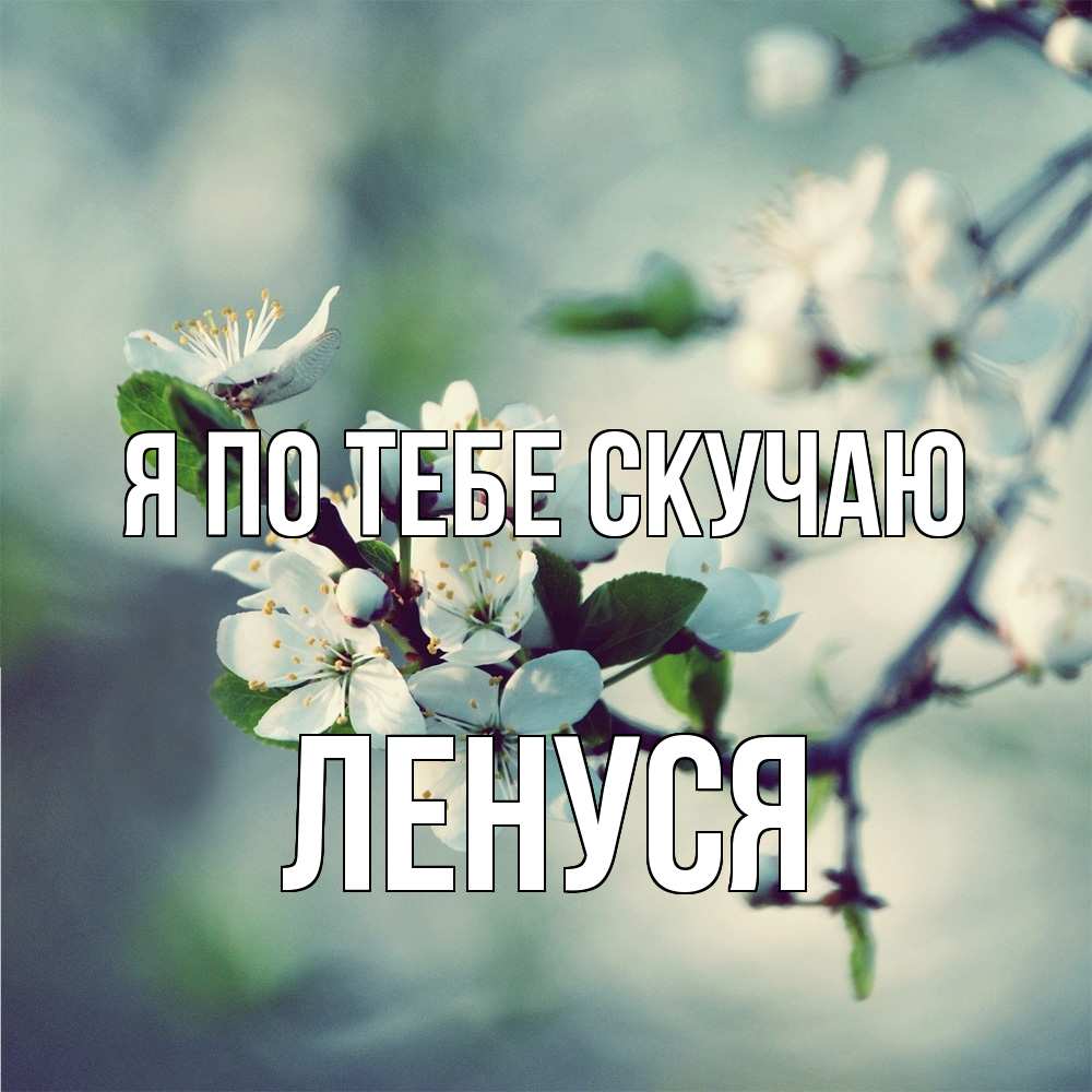 Открытка на каждый день с именем, Ленуся Я по тебе скучаю весна Прикольная открытка с пожеланием онлайн скачать бесплатно 