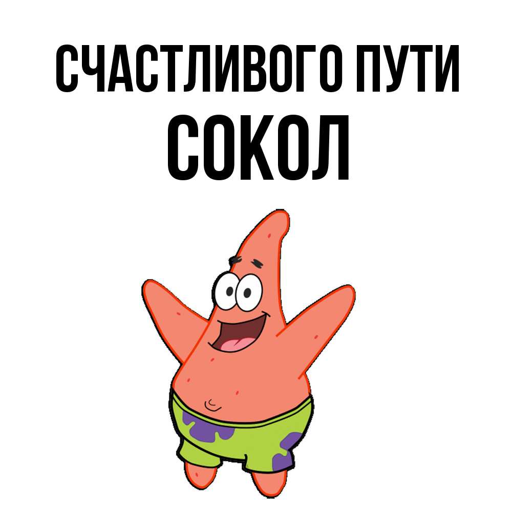 Открытка на каждый день с именем, Сокол Счастливого пути желает тебе хорошей дороги Прикольная открытка с пожеланием онлайн скачать бесплатно 