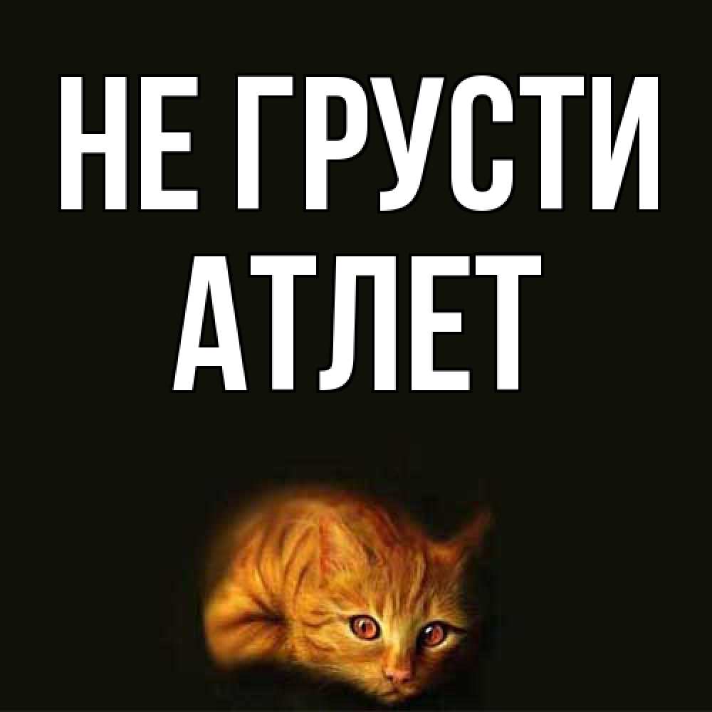 Открытка на каждый день с именем, Атлет Не грусти лежащий кот в темноте Прикольная открытка с пожеланием онлайн скачать бесплатно 
