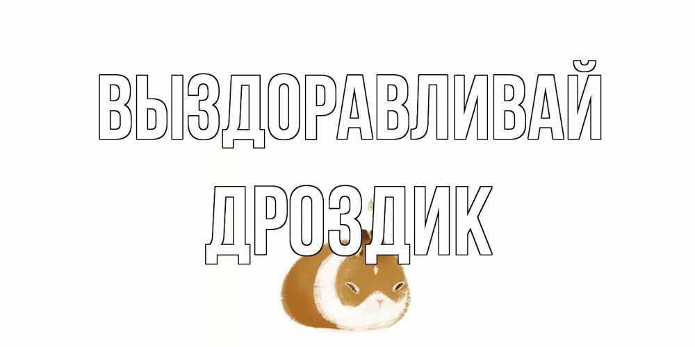 Открытка на каждый день с именем, Дроздик Выздоравливай морская свинка на открытке с пожеланиями не болеть Прикольная открытка с пожеланием онлайн скачать бесплатно 