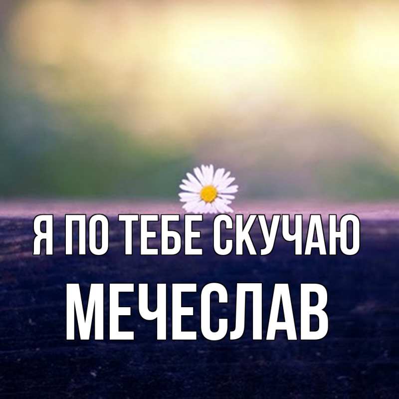 Картинка Я по тебе скучаю, Мечеслав