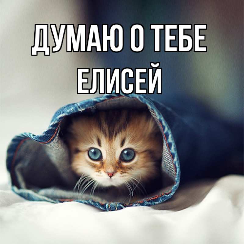 Картинка Думаю о тебе, Елисей