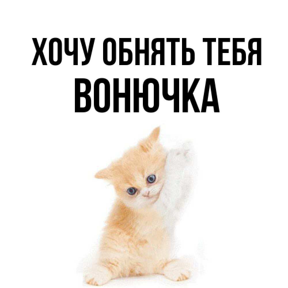 Открытка на каждый день с именем, Вонючка Хочу обнять тебя я хочу очень скорее обнимаешек Прикольная открытка с пожеланием онлайн скачать бесплатно 