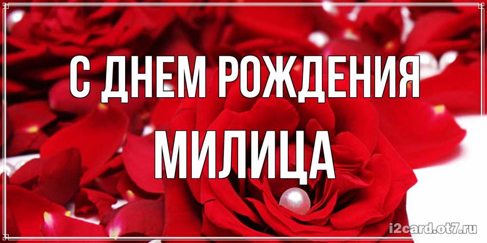 Открытка на каждый день с именем, Милица С днем рождения роза с жемчужиной на открытке для любимых Прикольная открытка с пожеланием онлайн скачать бесплатно 
