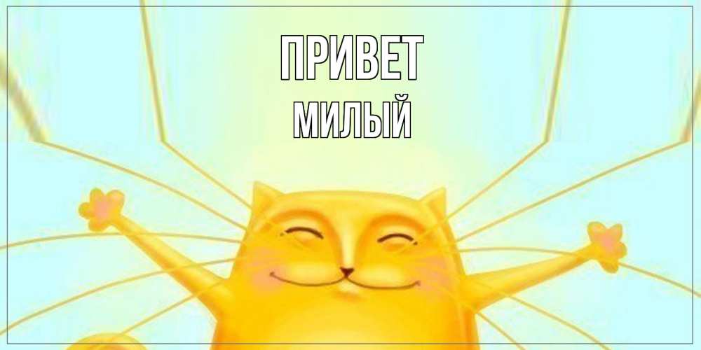 Открытка на каждый день с именем, Милый Привет кот Прикольная открытка с пожеланием онлайн скачать бесплатно 