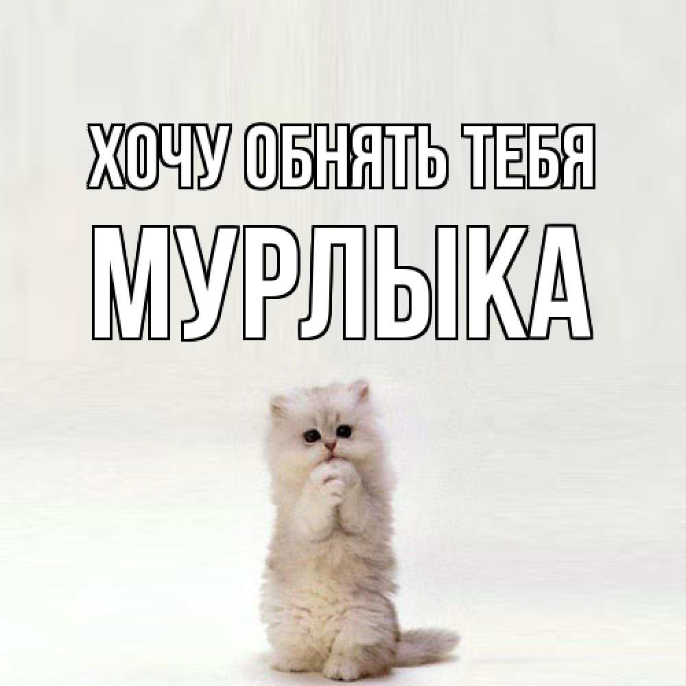 Открытка на каждый день с именем, мурлыка Хочу обнять тебя открытки с креативными подписями Прикольная открытка с пожеланием онлайн скачать бесплатно 