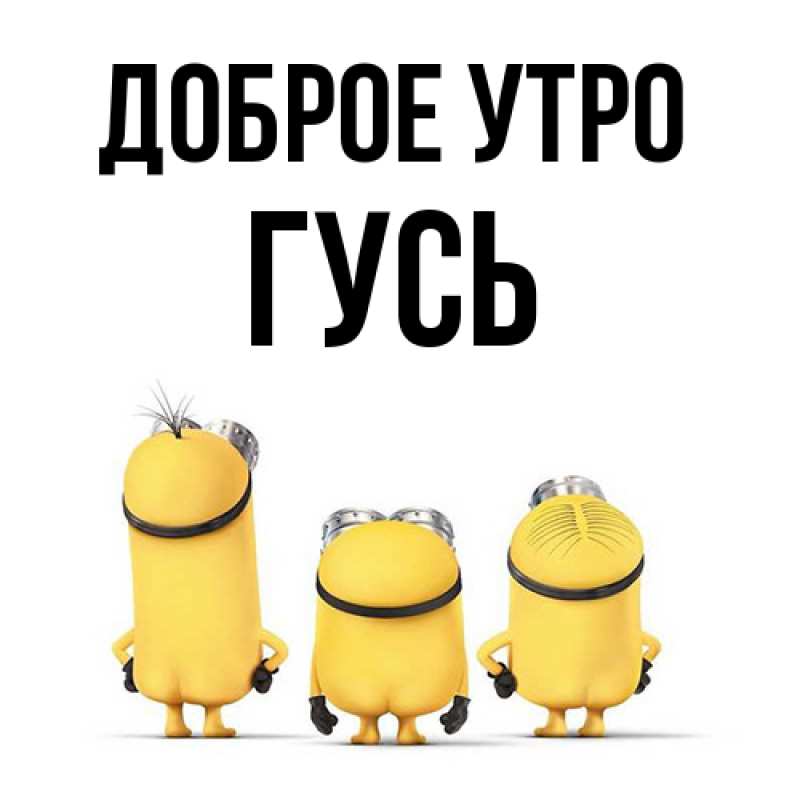 Картинка Доброе утро, Гусь