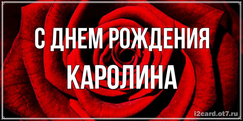 Открытка на каждый день с именем, Каролина С днем рождения алая роза Прикольная открытка с пожеланием онлайн скачать бесплатно 