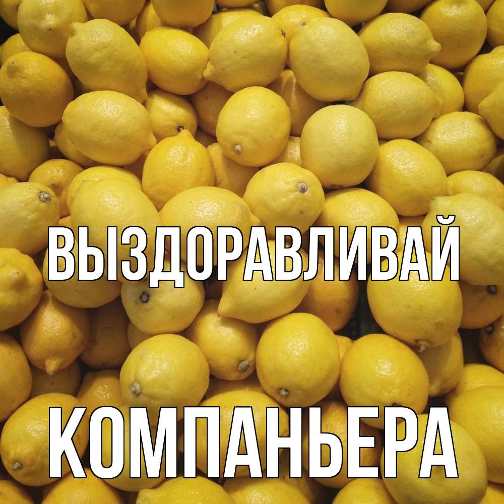 Открытка на каждый день с именем, Компаньера Выздоравливай это точно поможет Прикольная открытка с пожеланием онлайн скачать бесплатно 