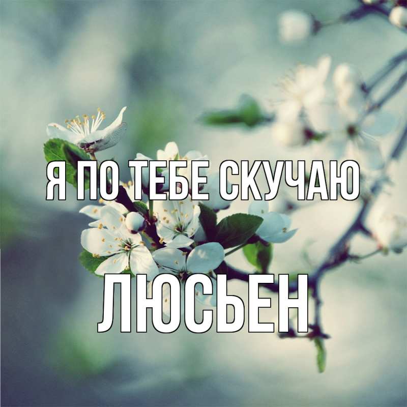 Картинка Я по тебе скучаю, Люсьен