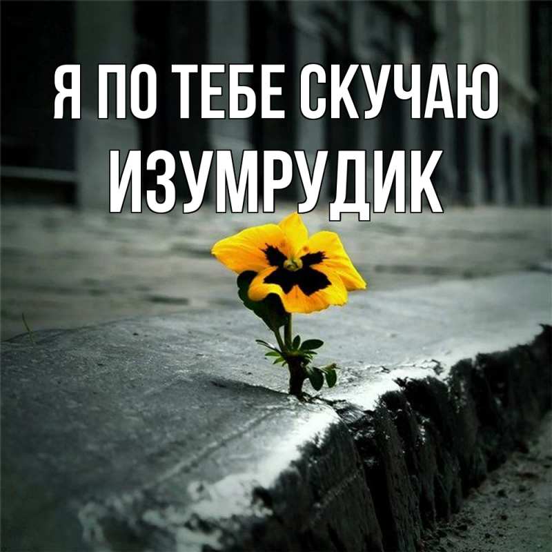 Картинка Я по тебе скучаю, изумрудик