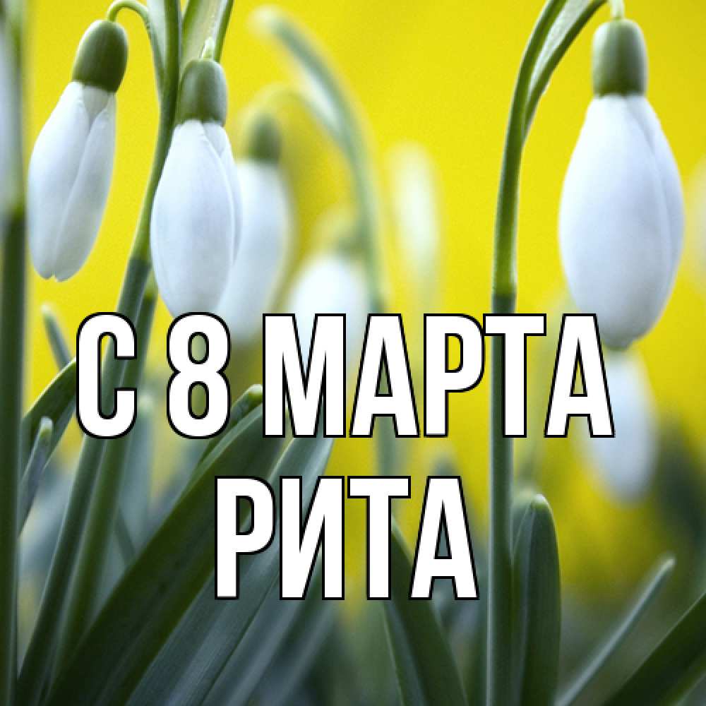 Открытка на каждый день с именем, Рита C 8 МАРТА весенние цветы Прикольная открытка с пожеланием онлайн скачать бесплатно 