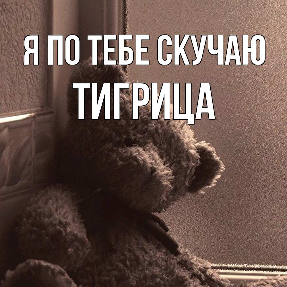Открытка на каждый день с именем, Тигрица Я по тебе скучаю скучаем тут Прикольная открытка с пожеланием онлайн скачать бесплатно 