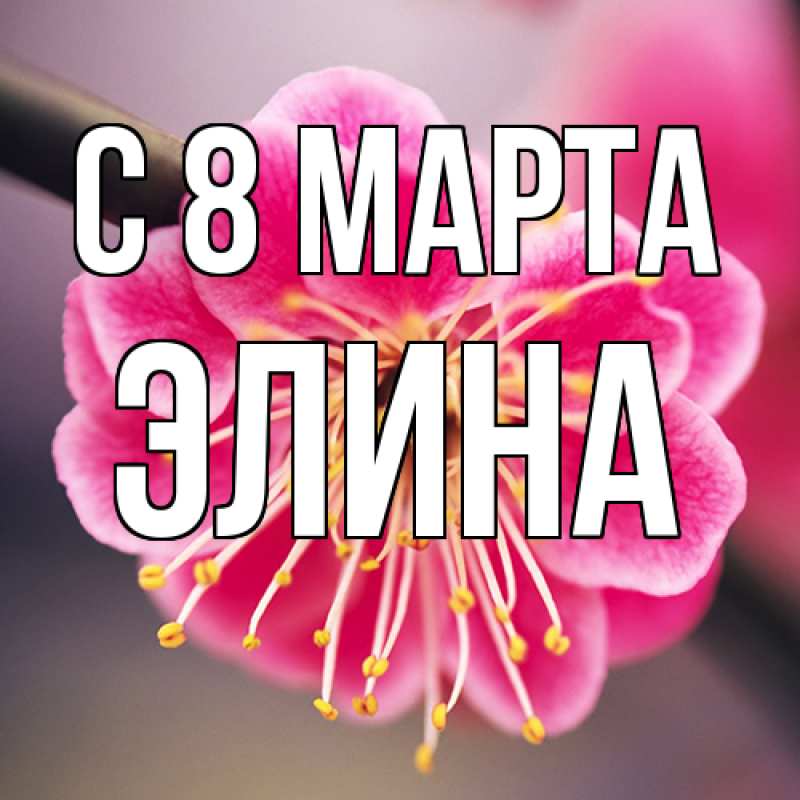 Картинка C 8 МАРТА, Элина
