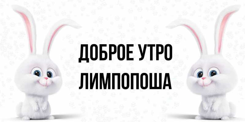 Картинка Доброе утро, лимпопоша
