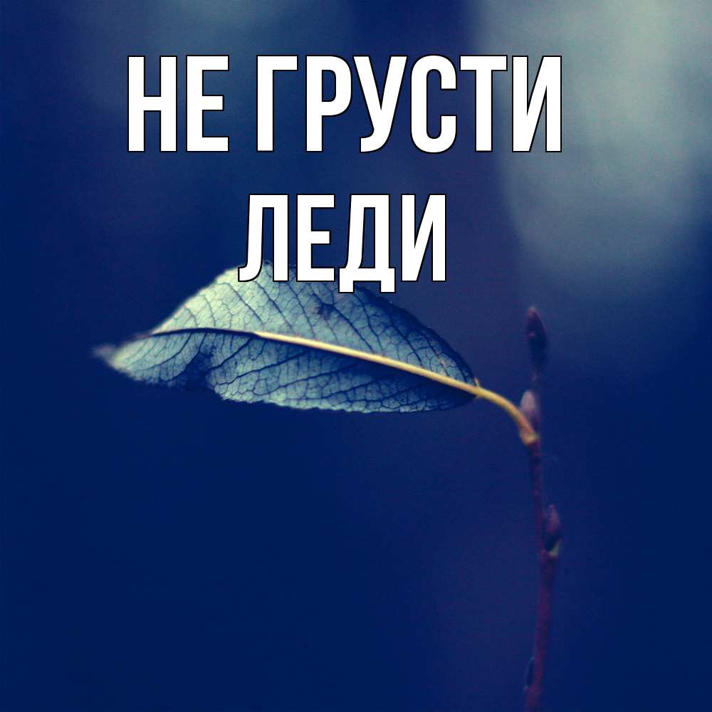 Открытка на каждый день с именем, леди Не грусти растение Прикольная открытка с пожеланием онлайн скачать бесплатно 