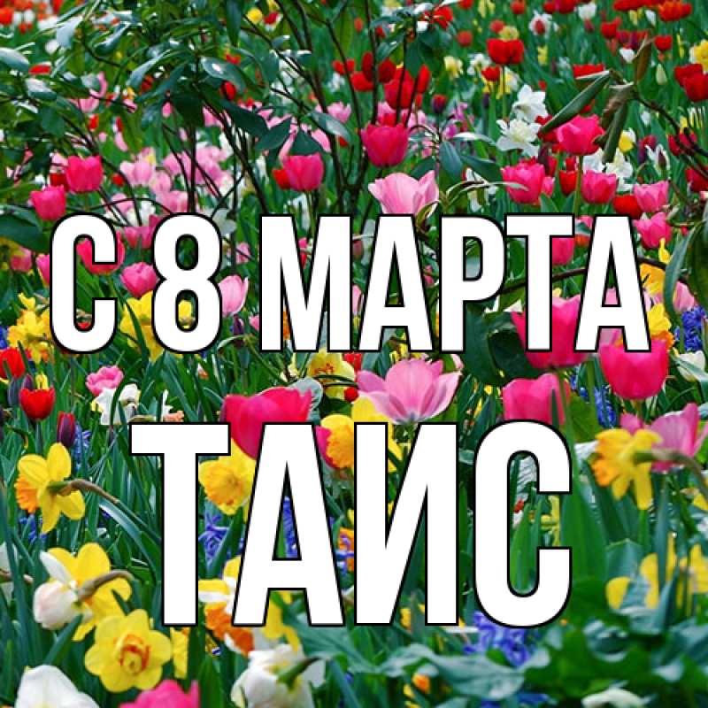 Картинка C 8 МАРТА, Таис