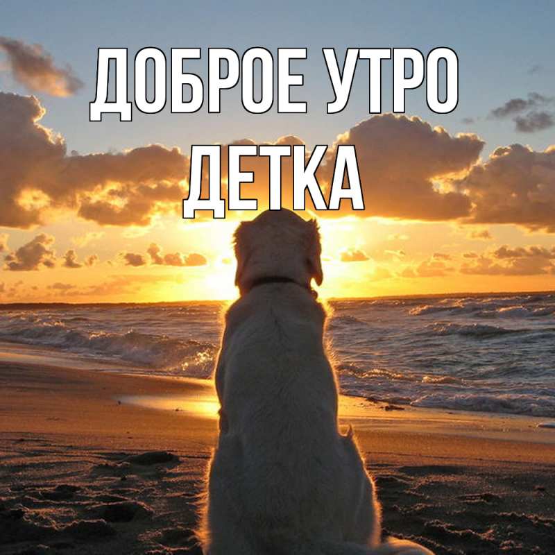 Картинка Доброе утро, Детка