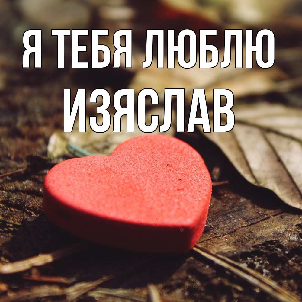 Открытка на каждый день с именем, Изяслав Я тебя люблю листья деревье 4 Прикольная открытка с пожеланием онлайн скачать бесплатно 
