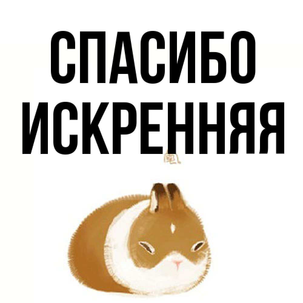 Открытка на каждый день с именем, Искренняя Спасибо коричнево белый домашний питомец Прикольная открытка с пожеланием онлайн скачать бесплатно 