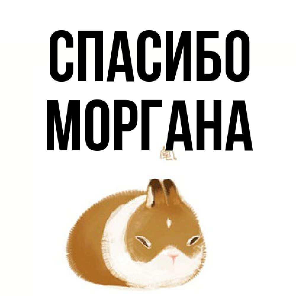 Открытка на каждый день с именем, Моргана Спасибо коричнево белый домашний питомец Прикольная открытка с пожеланием онлайн скачать бесплатно 