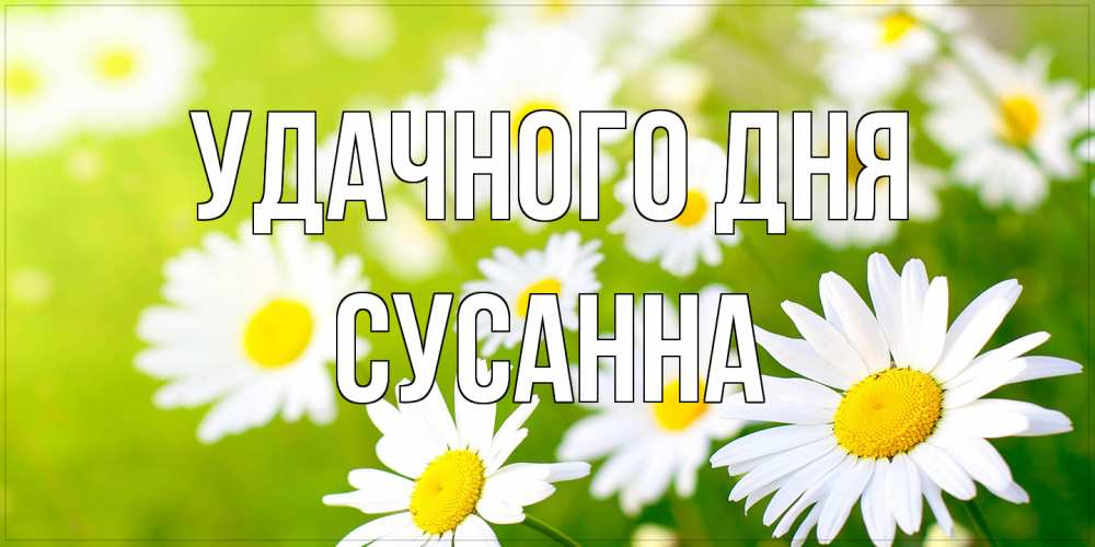 Открытка на каждый день с именем, Сусанна Удачного дня открытка с ромашками на зеленом фоне Прикольная открытка с пожеланием онлайн скачать бесплатно 