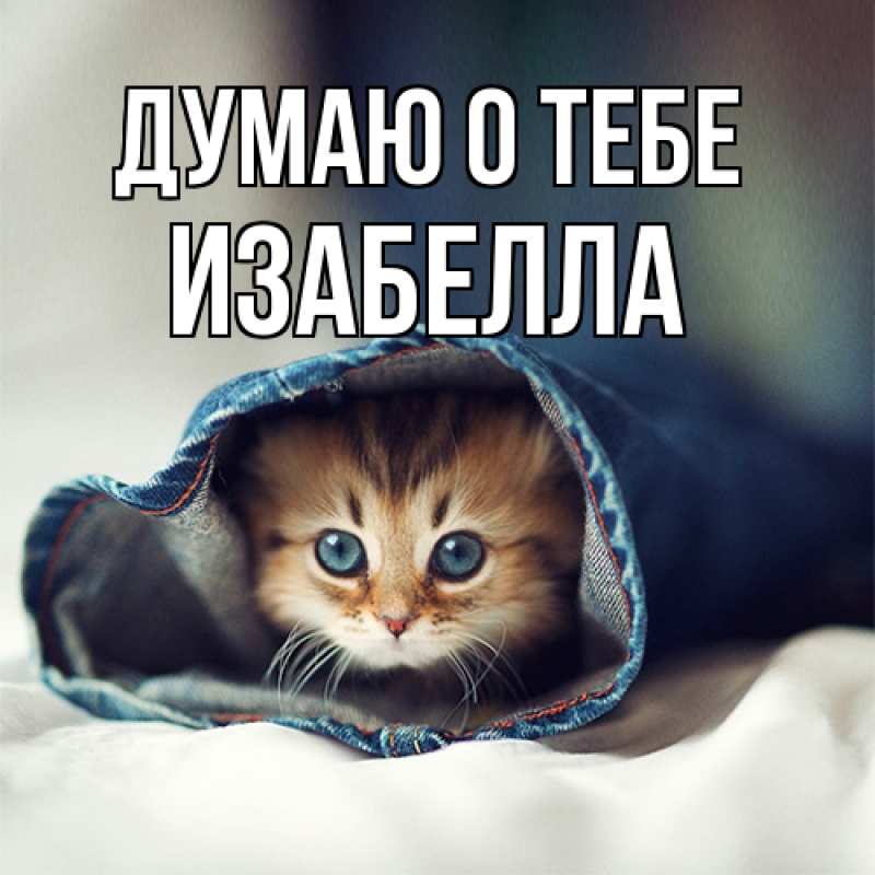 Картинка Думаю о тебе, Изабелла