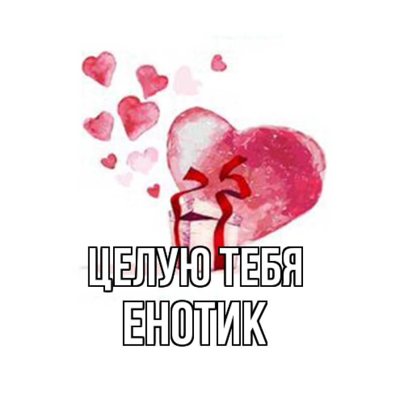 Картинка Целую тебя, Енотик