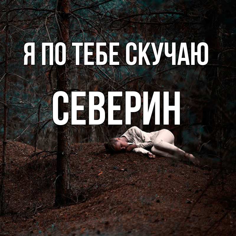 Картинка Я по тебе скучаю, Северин
