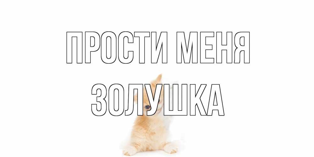 Открытка на каждый день с именем, Золушка Прости меня кот Прикольная открытка с пожеланием онлайн скачать бесплатно 
