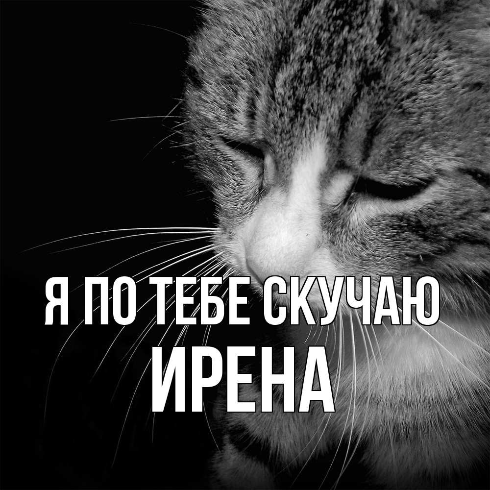 Открытка на каждый день с именем, Ирена Я по тебе скучаю мне скучно Прикольная открытка с пожеланием онлайн скачать бесплатно 