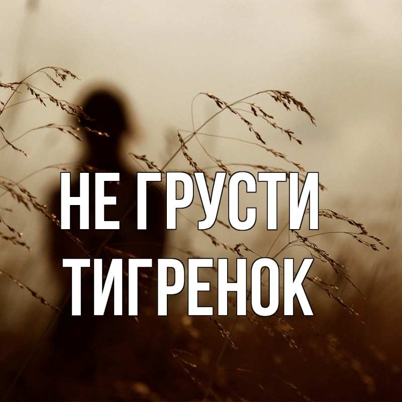 Картинка Не грусти, Тигpенок