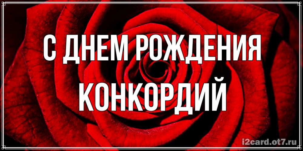 Открытка на каждый день с именем, Конкордий С днем рождения алая роза Прикольная открытка с пожеланием онлайн скачать бесплатно 