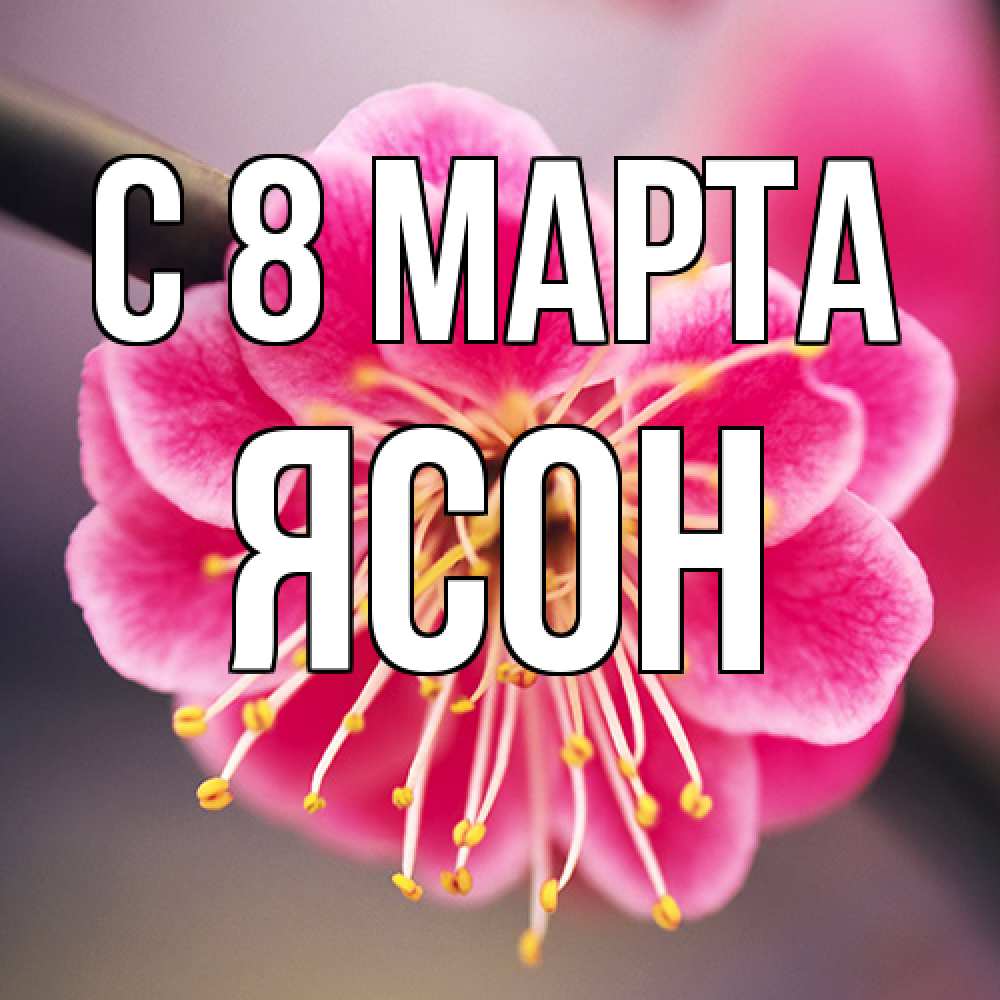 Открытка на каждый день с именем, Ясон C 8 МАРТА цветы Прикольная открытка с пожеланием онлайн скачать бесплатно 