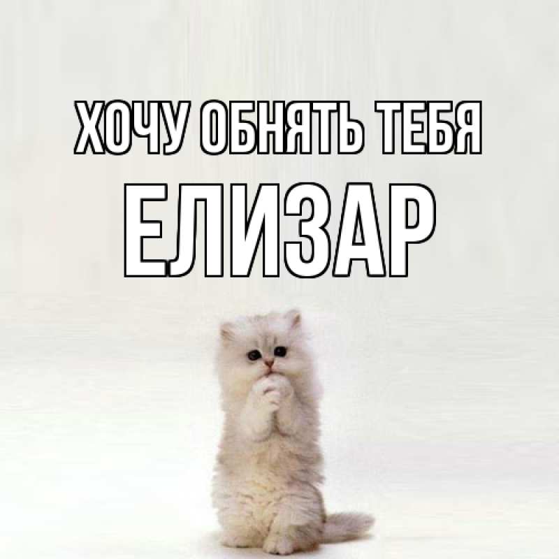 Картинка Хочу обнять тебя, Елизар