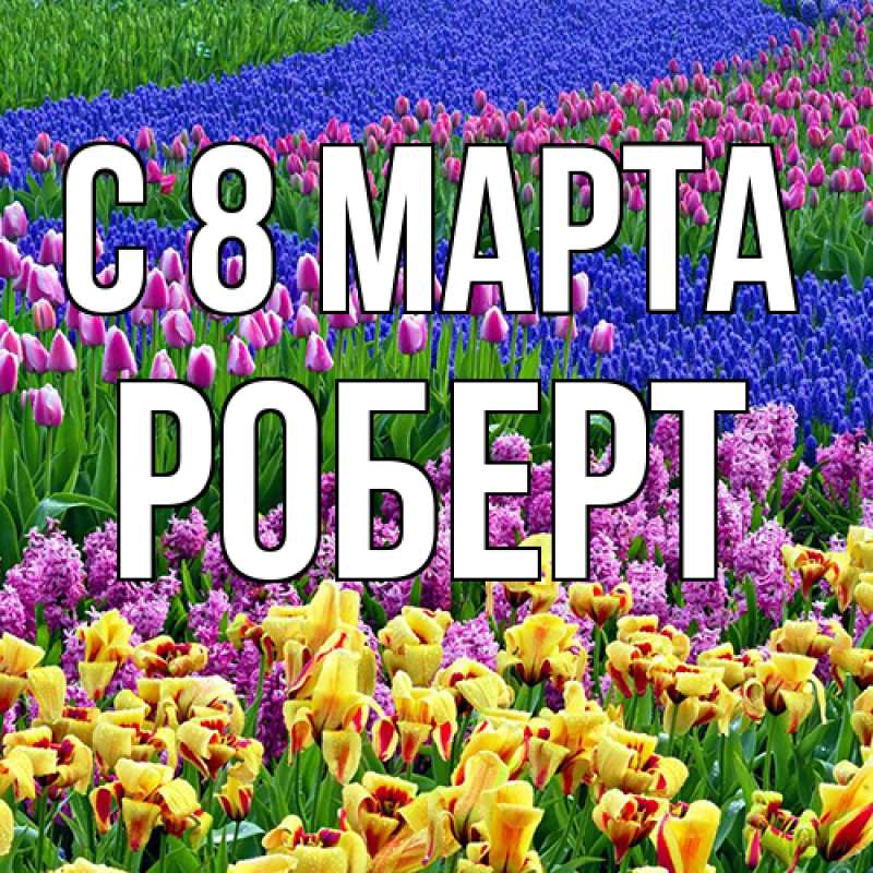 Картинка C 8 МАРТА, Роберт