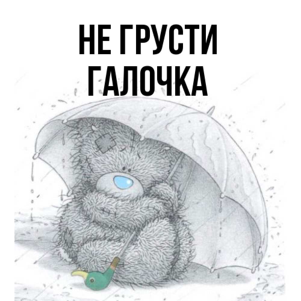 Открытка на каждый день с именем, Галочка Не грусти спасите мишку Тедди Прикольная открытка с пожеланием онлайн скачать бесплатно 