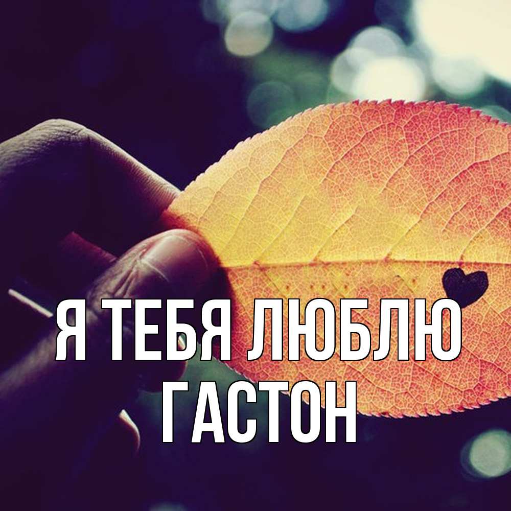 Открытка на каждый день с именем, Гастон Я тебя люблю держу лист Прикольная открытка с пожеланием онлайн скачать бесплатно 