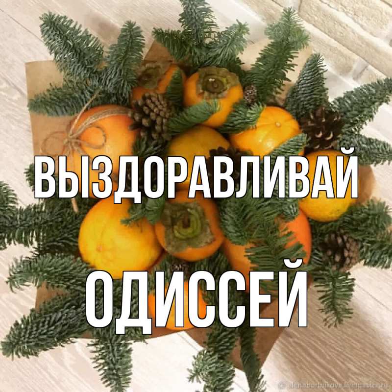 Картинка Выздоравливай, Одиссей
