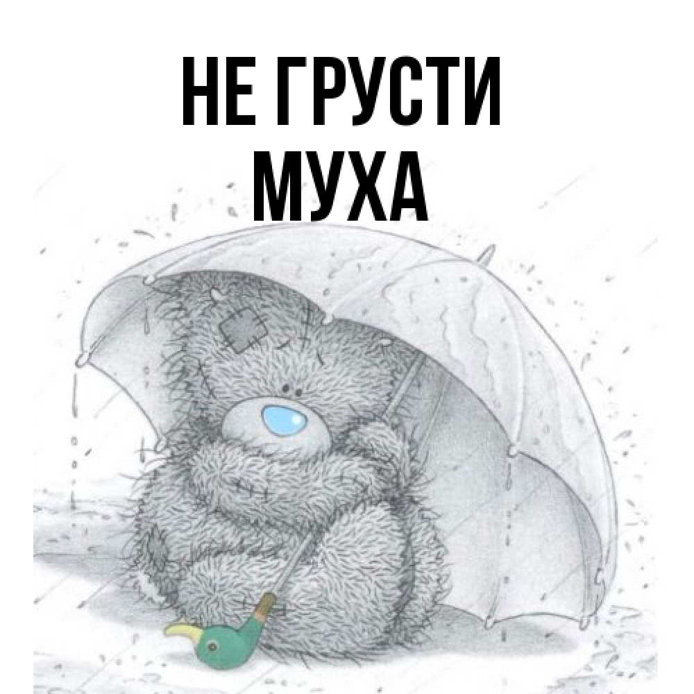 Открытка на каждый день с именем, Муха Не грусти спасите мишку Тедди Прикольная открытка с пожеланием онлайн скачать бесплатно 