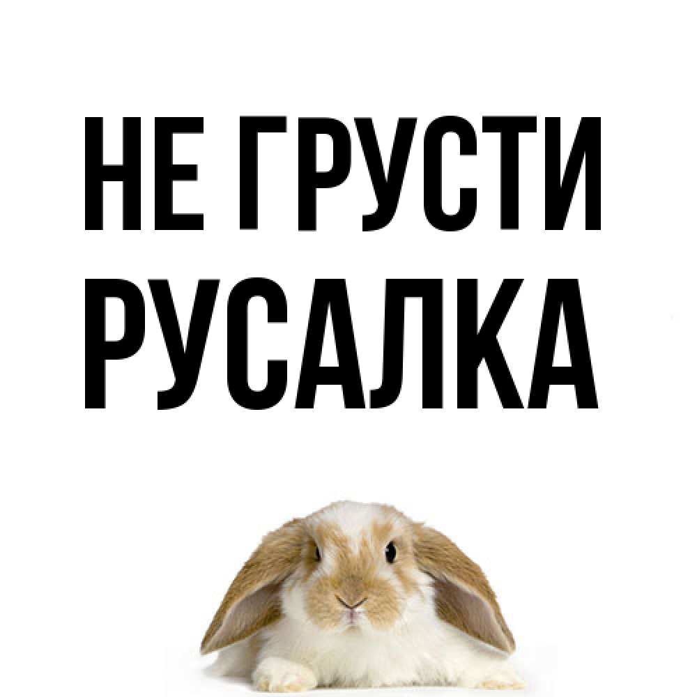 Открытка на каждый день с именем, Русалка Не грусти коричнево белый заяц с большими ушками Прикольная открытка с пожеланием онлайн скачать бесплатно 