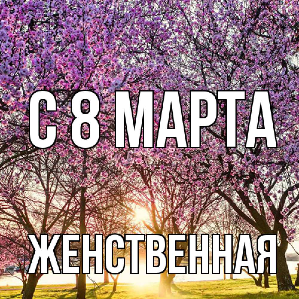 Открытка на каждый день с именем, женственная C 8 МАРТА международный женский день Прикольная открытка с пожеланием онлайн скачать бесплатно 