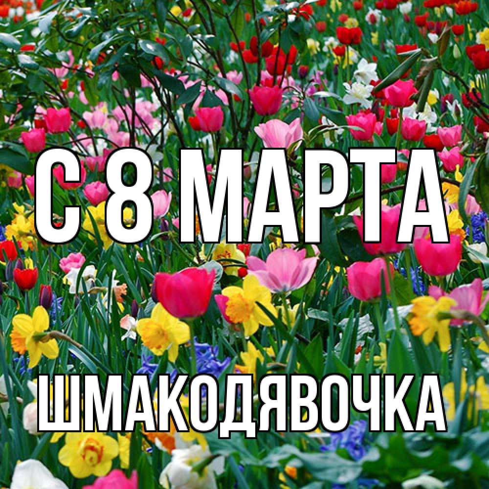 Открытка на каждый день с именем, шмакодявочка C 8 МАРТА с международным женским днем поздравления для женщины Прикольная открытка с пожеланием онлайн скачать бесплатно 