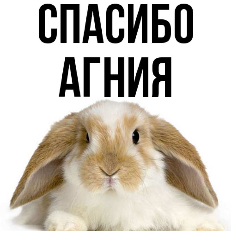Картинка Спасибо, Агния