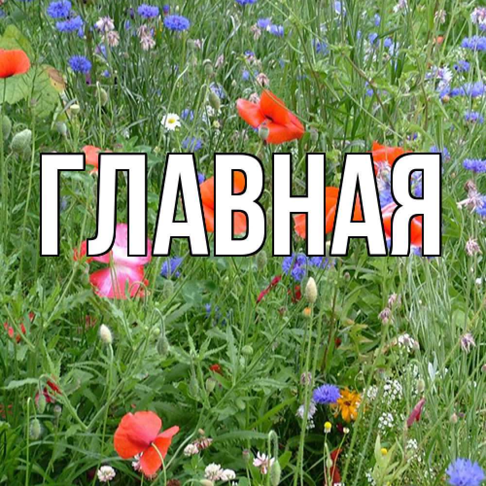 Открытка на каждый день с именем, Анна Главная международный женский день 4 Прикольная открытка с пожеланием онлайн скачать бесплатно 