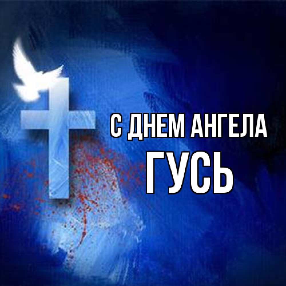 Открытка на каждый день с именем, Гусь С днем ангела Синий фон и птица Прикольная открытка с пожеланием онлайн скачать бесплатно 