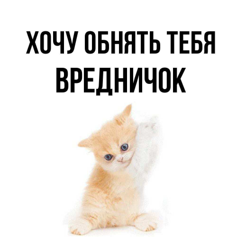 Открытка на каждый день с именем, Вредничок Хочу обнять тебя я хочу очень скорее обнимаешек Прикольная открытка с пожеланием онлайн скачать бесплатно 