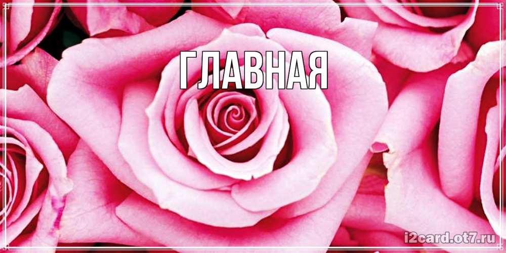 Открытка на каждый день с именем, настя Главная роза розовая на день Святого Валентина Прикольная открытка с пожеланием онлайн скачать бесплатно 